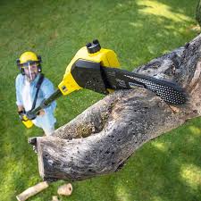 Best Aeration Services  in Nolanville, TX